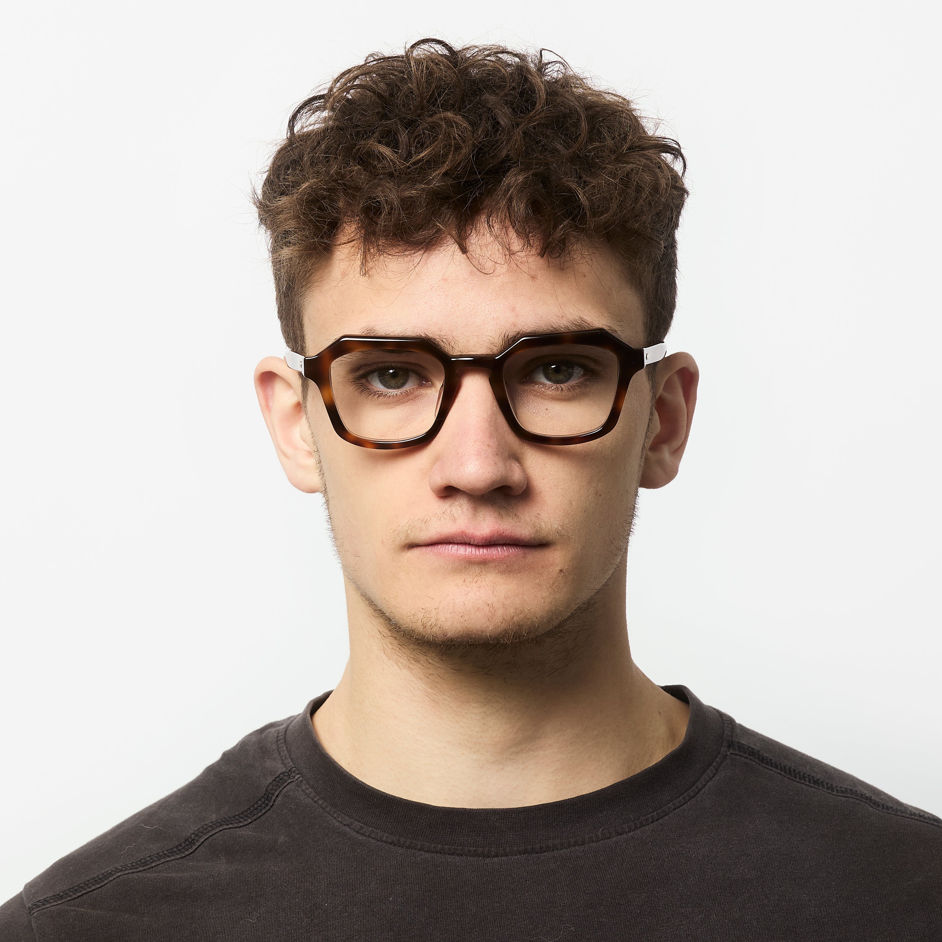 Diego - Tortoise - Specs