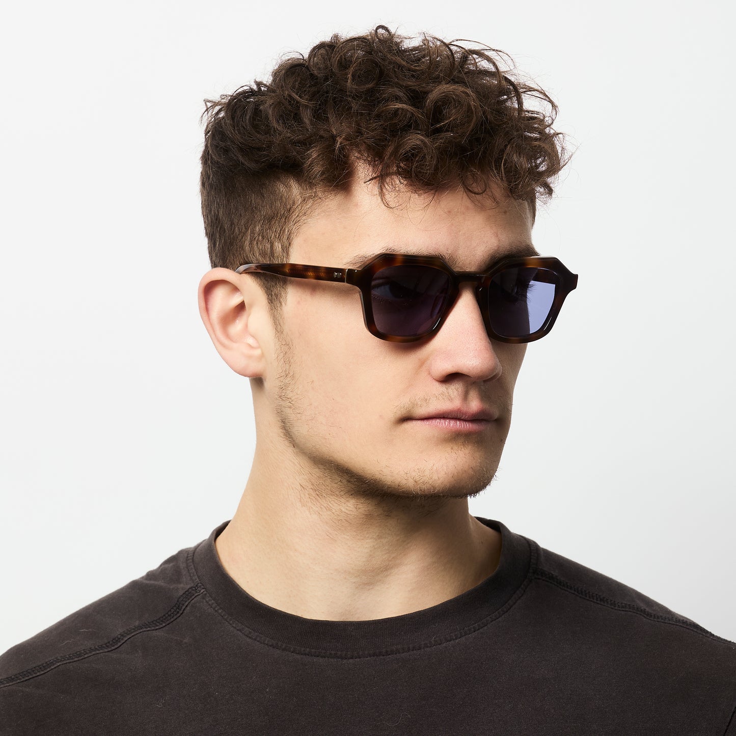 Diego - Champaign Brown