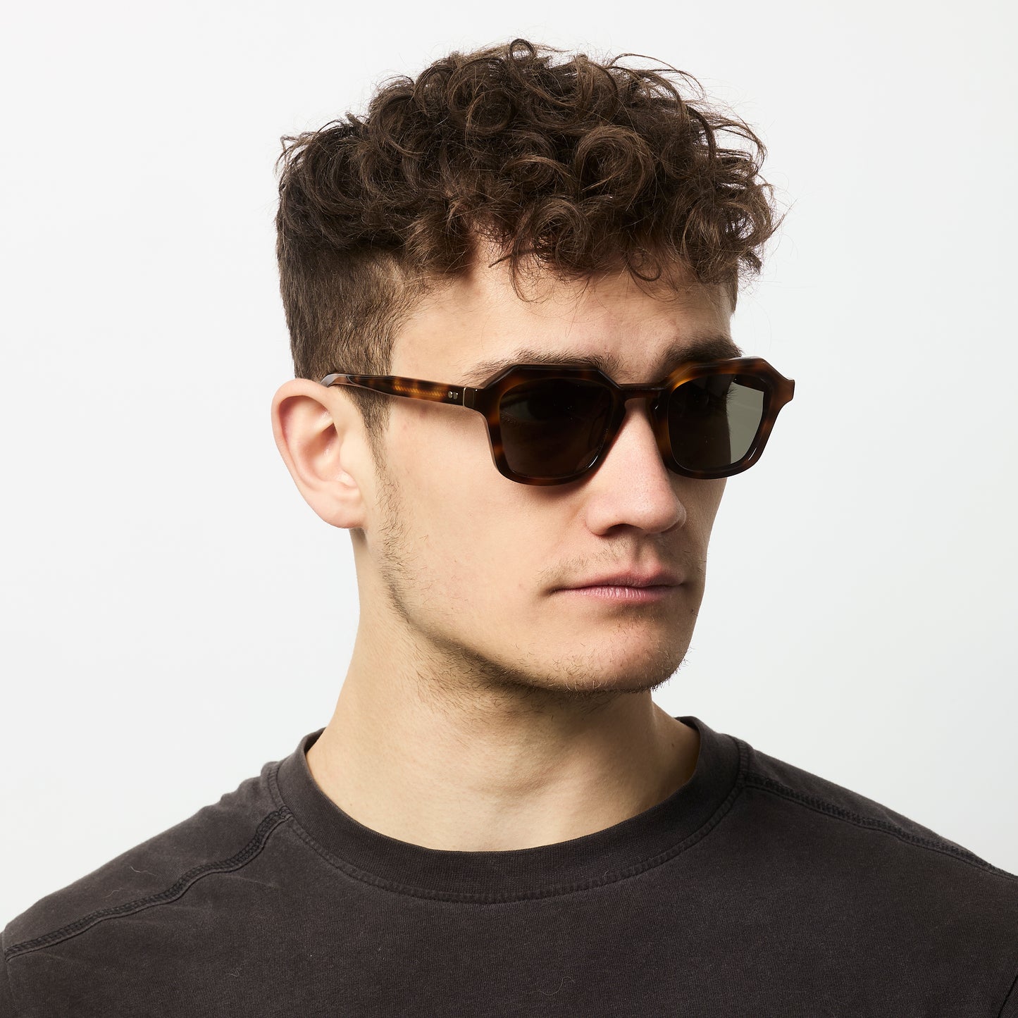 Diego - Champaign Brown