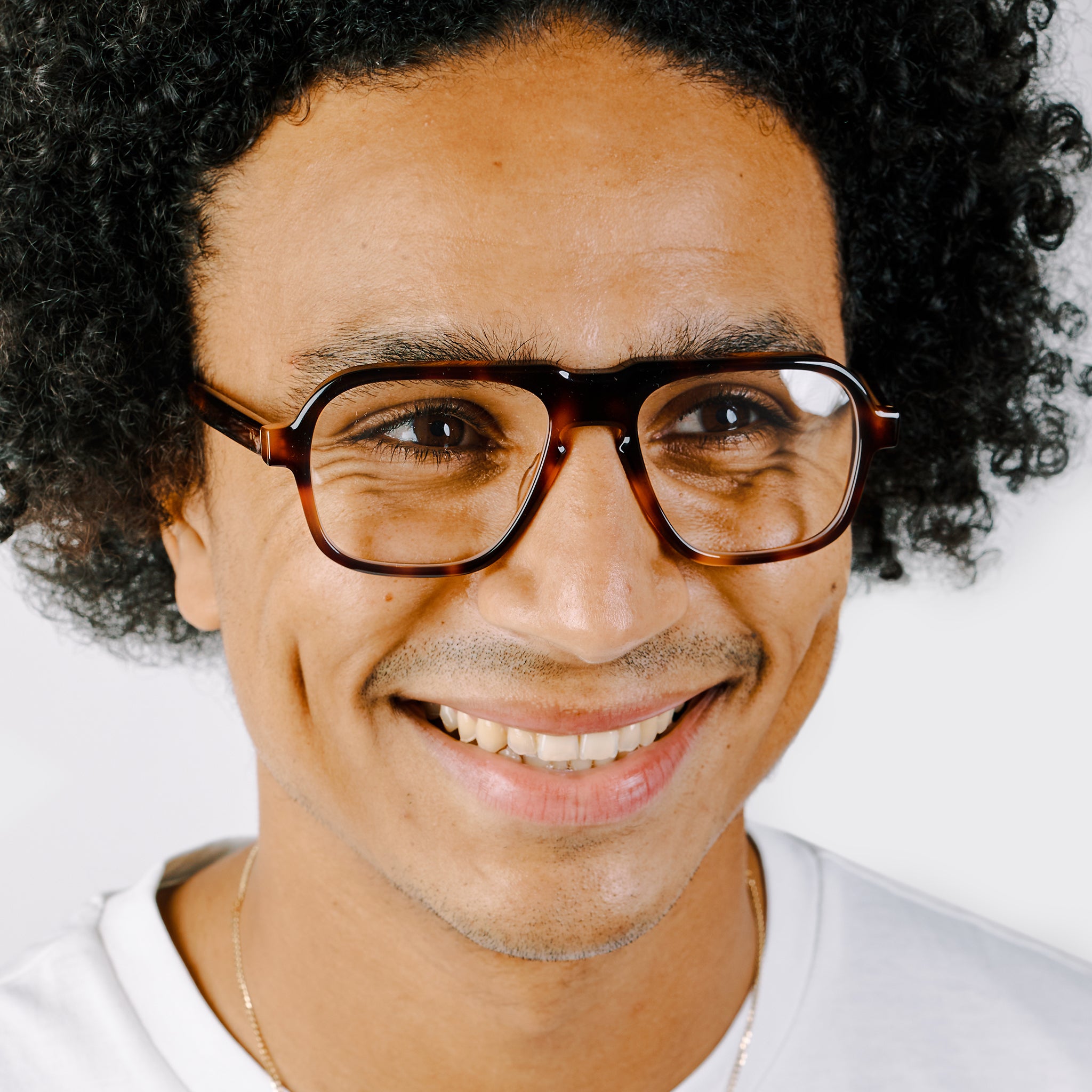 Fraser - Tortoise - Specs