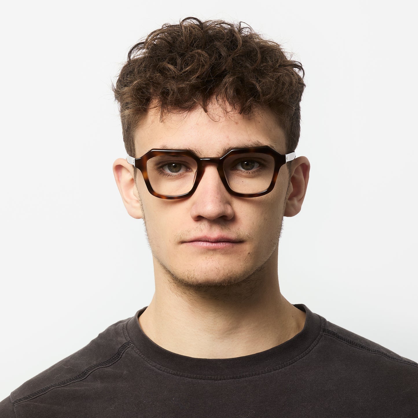 Diego - Tortoise - Specs