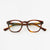 Morris - Umber - Specs