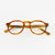 Pinto - Havana - Specs
