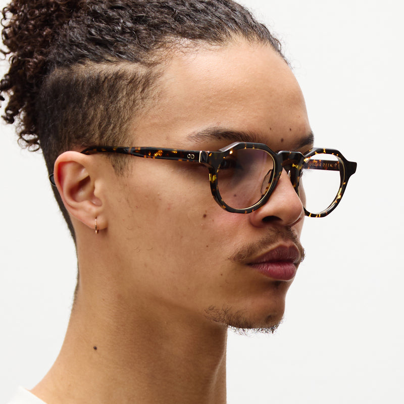Pinto Specs